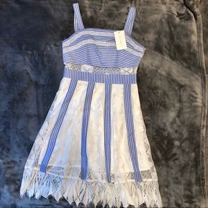 Blue and White Dress